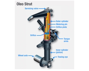 Oleo Strut