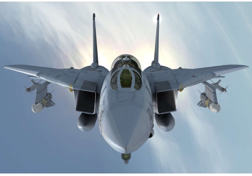 افزونه شبیه ساز F-14 Extended - Image 6