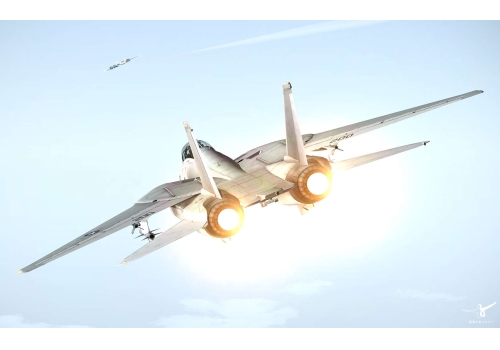 افزونه شبیه ساز F-14 Extended